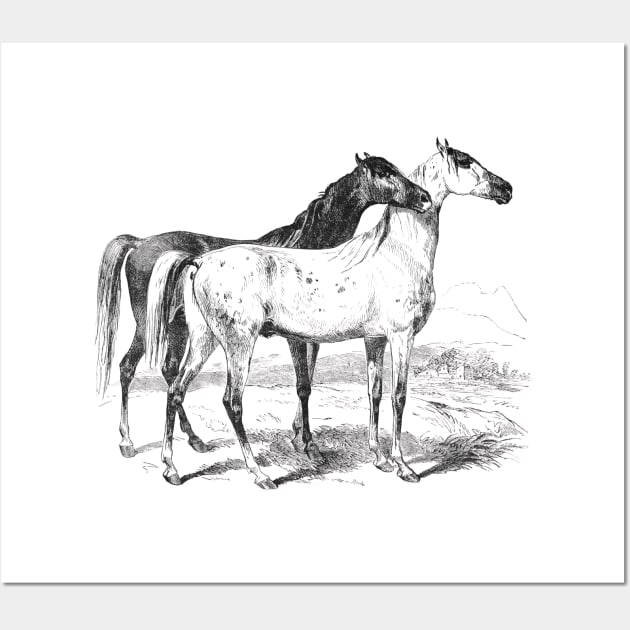 Horses Black & White Illustration Wall Art by Biophilia